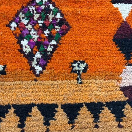 Tisslit Trail - Runner